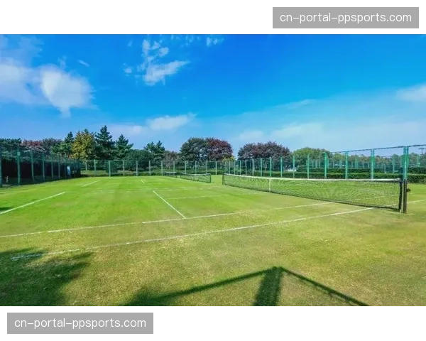 “网球进社区”项目在拉美地区启动，旨在贫民社区修建公共球场